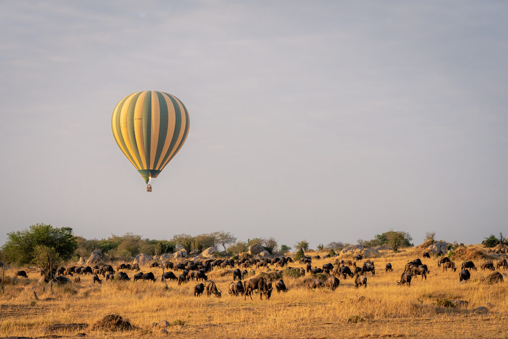 the-growing-helium-shortage-and-its-global-impact