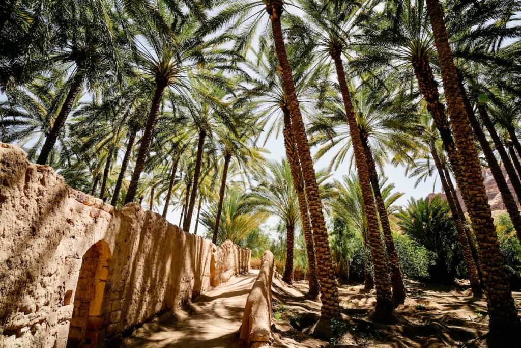 Taroudant-Moroccos-Untouched-Oasis-Beyond-the-Crowds