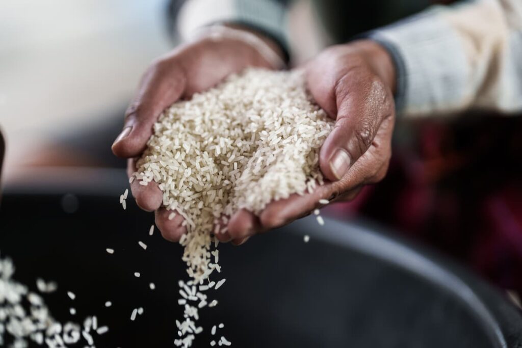 Japan-Releases-Stockpiled-Rice-to-Ease-Consumer-Prices
