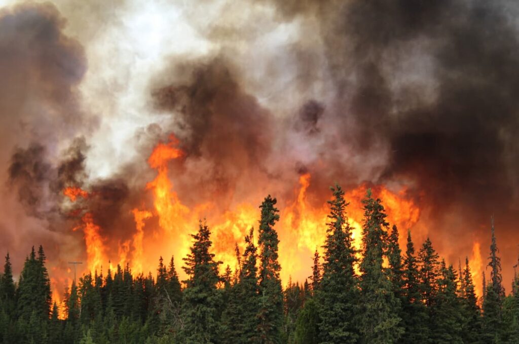 Wildfire-Reaches-Marseille-Forces-Airport-and-Rail-Shutdown
