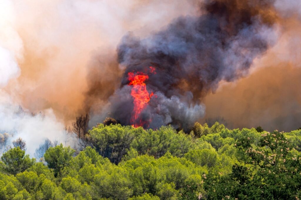 Frances-Largest-Summer-Wildfire-Scorches-Aude