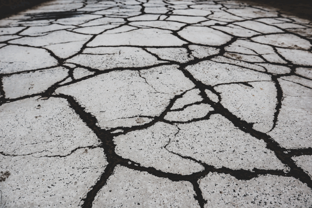 Afghanistan-Earthquake-Leaves-Over-1400-Dead-and-Thousands-Injured
