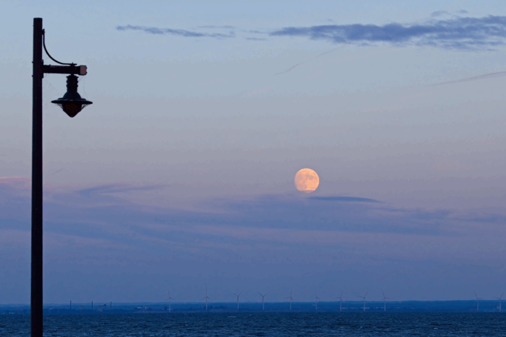 Newly-Found-Quasi-Moon-Joins-Earths-Orbital-Companions