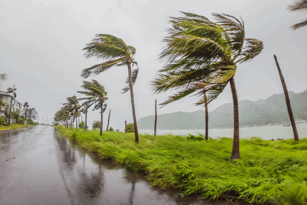 Typhoon-Ragasa-Forces-Mass-Evacuations-in-Southern-China