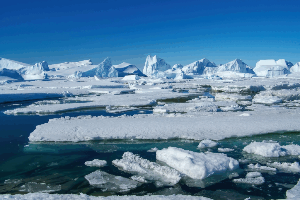 U.S.-Faces-Antarctic-Research-Setback-as-Icebreaker-Retires