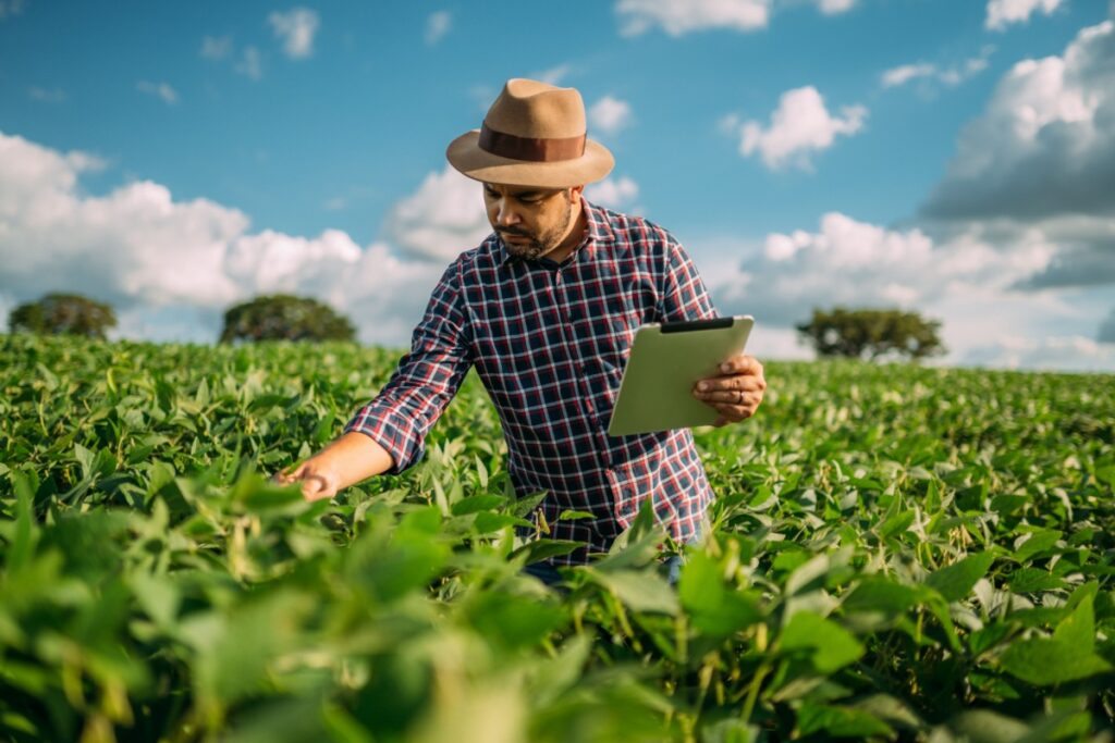 Brazilian Soybeans Surge as China Shifts Away From the US Brazilian-Soybeans-Surge-as-China-Shifts-Away-From-the-US