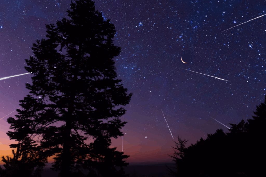 Orionid-Meteor-Shower-Set-to-Light-Up-October-Skies