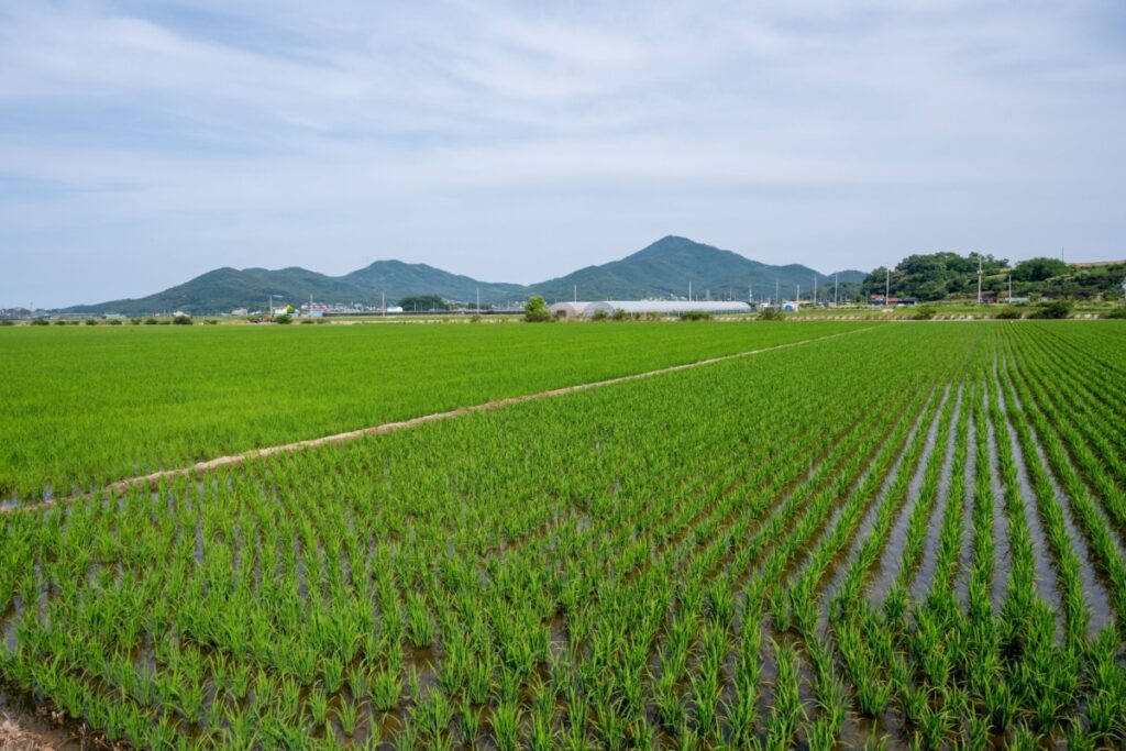South Korean Farmers Sue State Utility South-Korean-Farmers-Sue-State-Utility