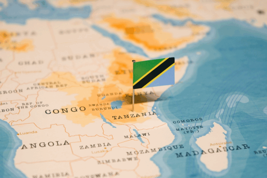 Tanzanias-Election-Unrest-Deepens-After-Hassans-Disputed-Victory