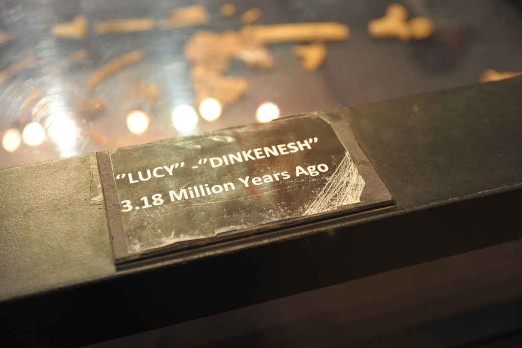 Ancient Foot Fossils Rewrite Early Human Evolution Ancient-Foot-Fossils-Rewrite-Early-Human-Evolution