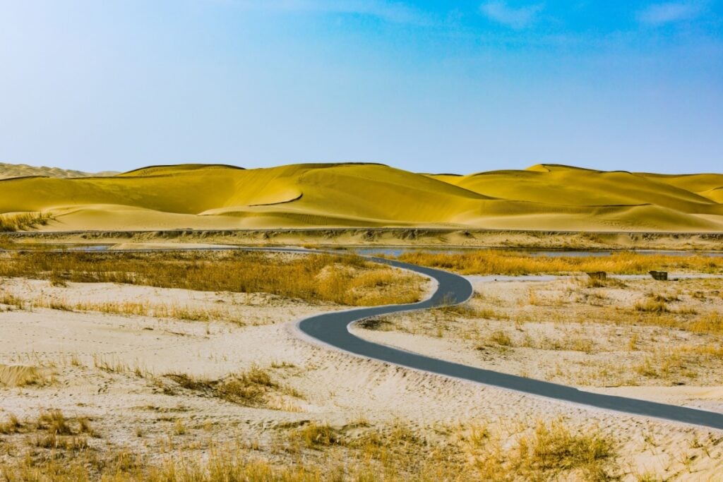 China’s Taklamakan Green Belt Turns Carbon Sink Chinas-Taklamakan-Green-Belt-Turns-Carbon-Sink