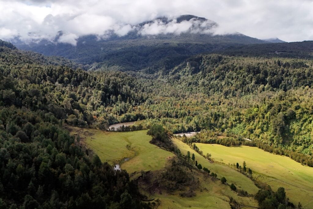 Monte Verde Debate Reshapes Early Human Timeline Monte-Verde-Debate-Reshapes-Early-Human-Timeline