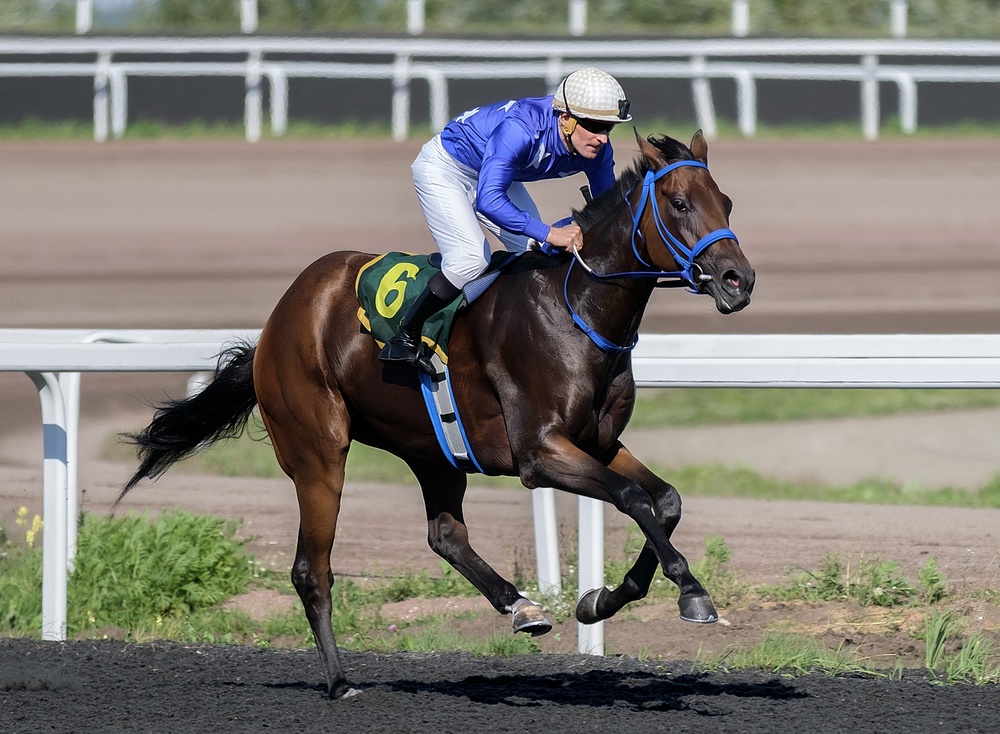 10.5M-Colt-Fuels-Kentucky-Derby-Dreams
